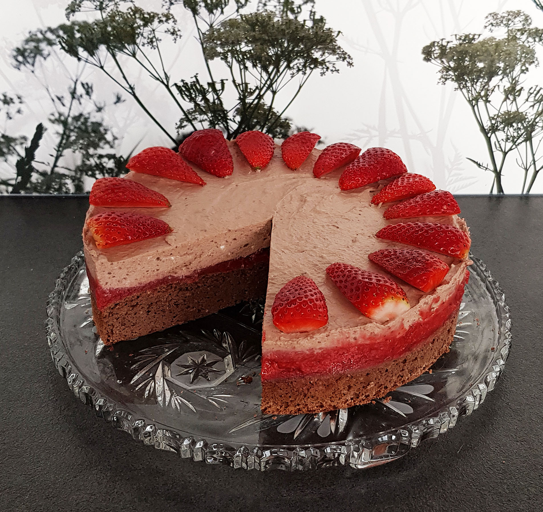 Schoko-Sahne-Torte mit Erdbeeren3 – Low Carb mit Genuss